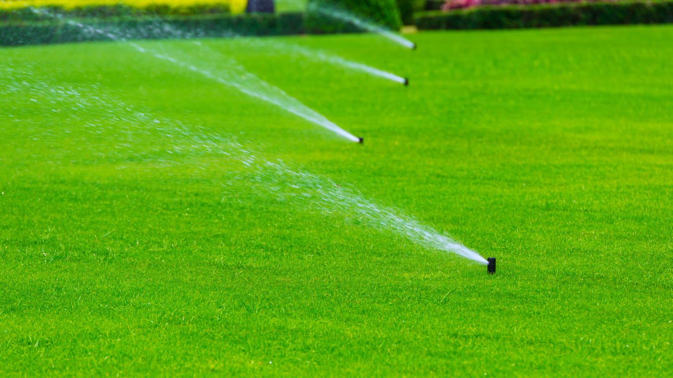 lawn sprinkle spraying on over green grass